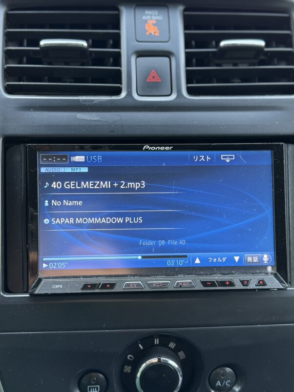 pioneer 1 000 TMT - 1 mkr - img 1