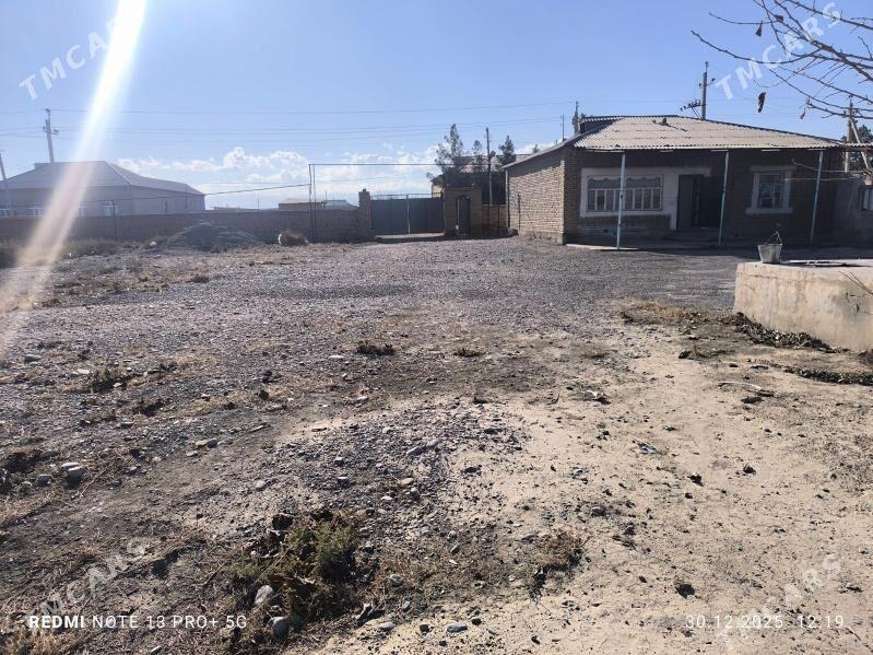 jay 35 Sotuk ýeri uly - Кака - img 1