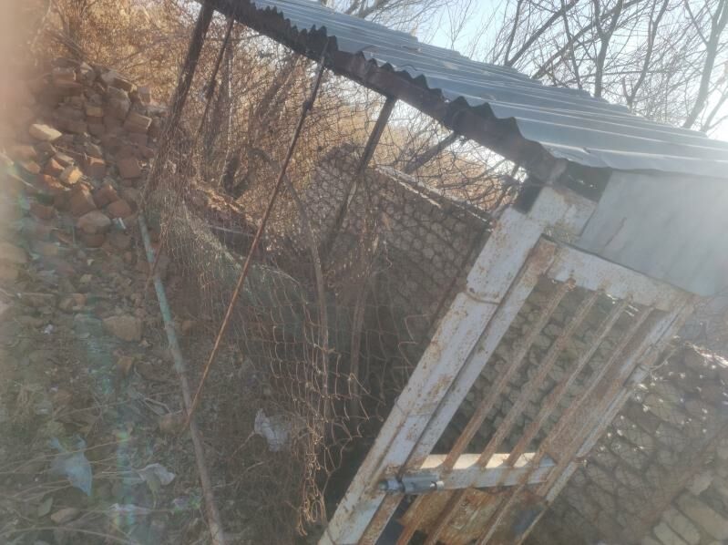 ýatak, ketek - Mary - img 1