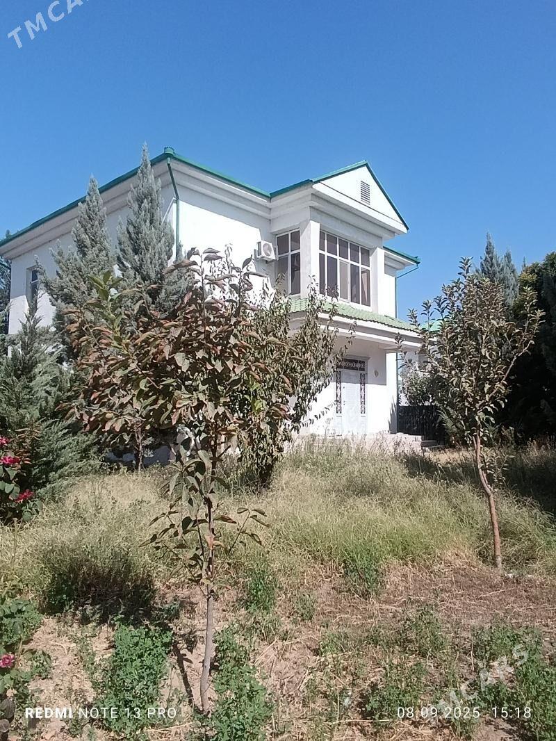 Satlyk Taze zaman katez - Aşgabat - img 1