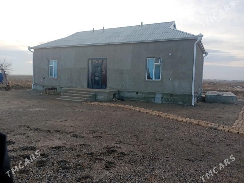 jay - Murgap - img 1