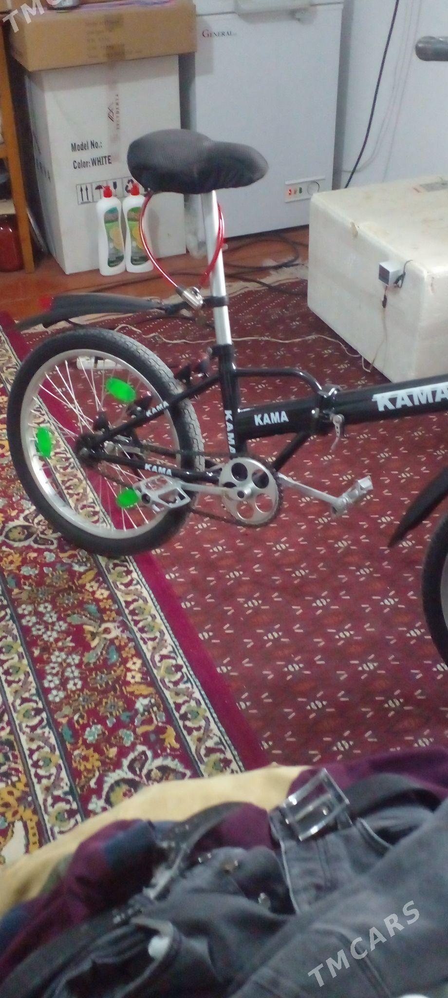 тигир кама - Ak bugdaý etraby - img 1