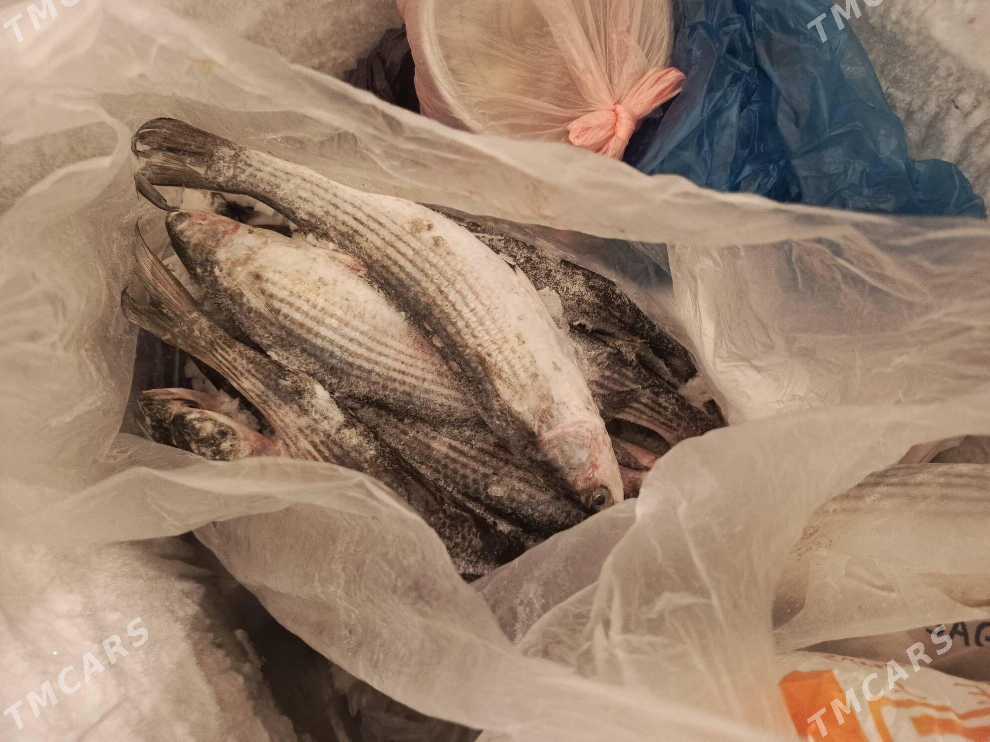 Balyk ,Barak,Ördek - Туркменбаши - img 1