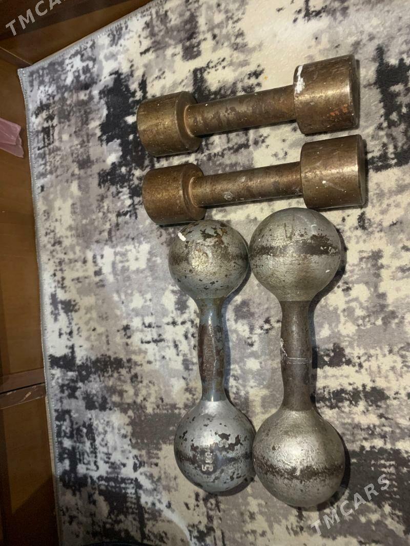 gantel - Ашхабад - img 1