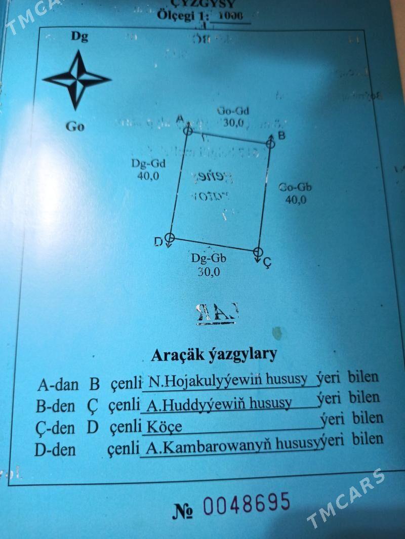 satlyk mellek - Çärjew - img 1