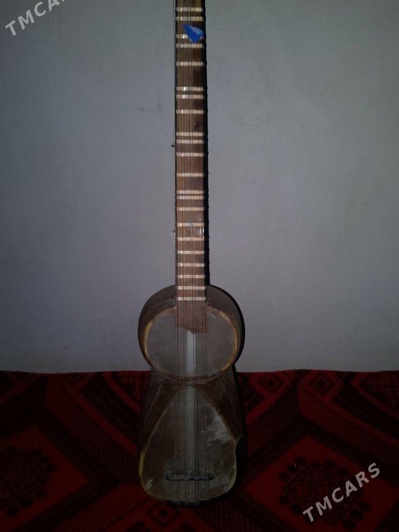 ribap - Gurbansoltan Eje - img 1