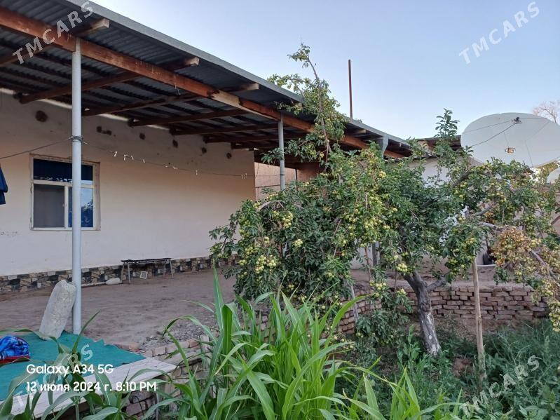 HOWLY PLAN JAŸ - Görogly (Tagta) - img 1