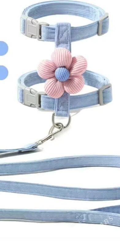 поводок собаки кошки - Мары - img 1