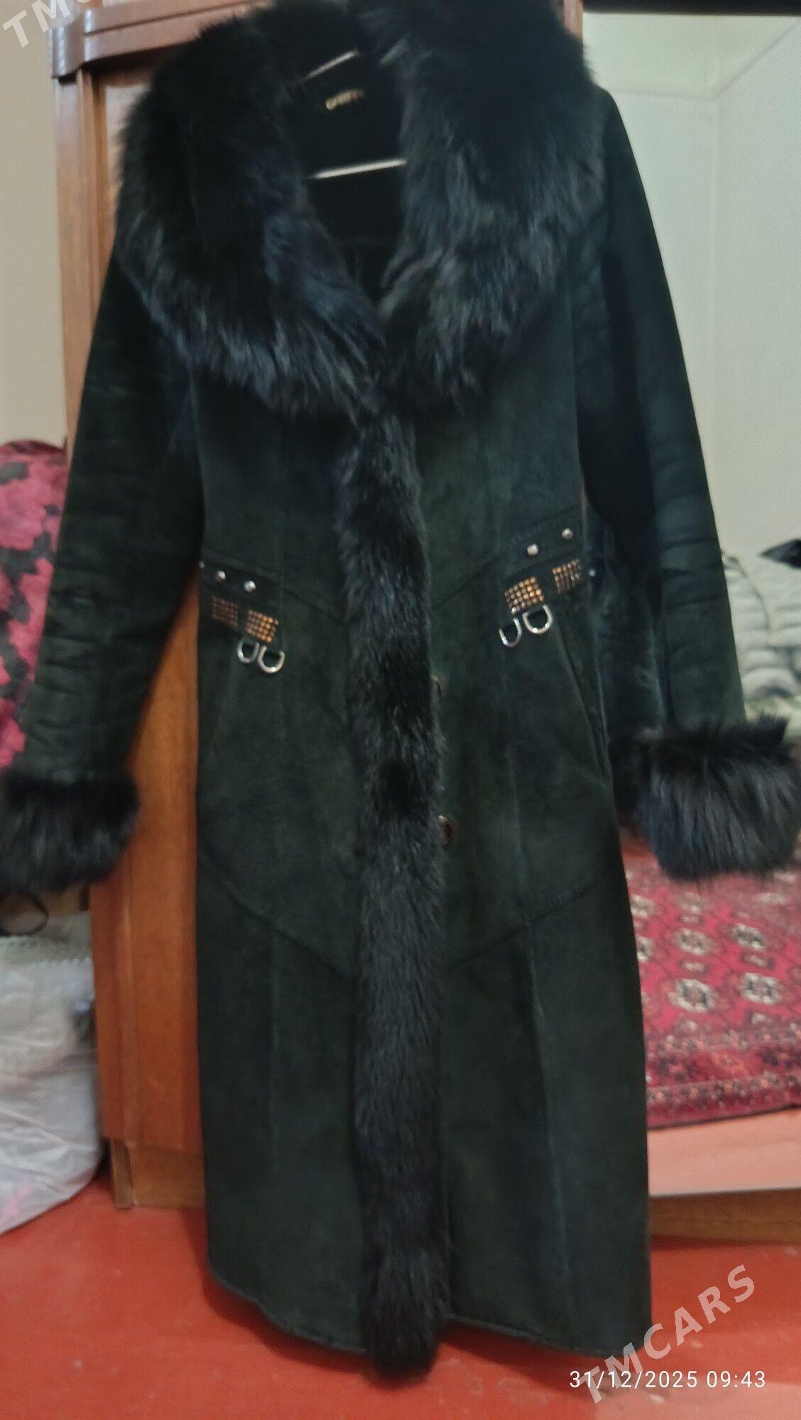 PALTO - Гызыларбат - img 1