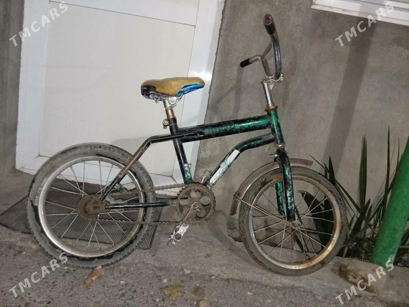 kici caga tigir gyssagly welik - Bedew - img 1