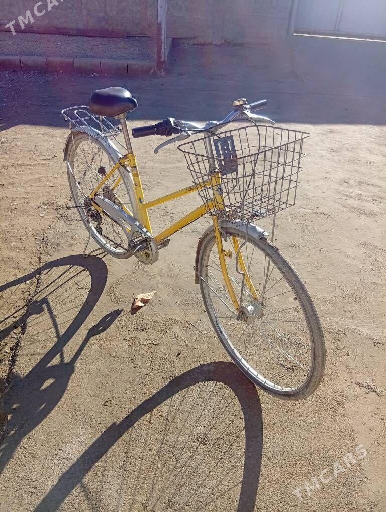 Tigir - Bäherden - img 1