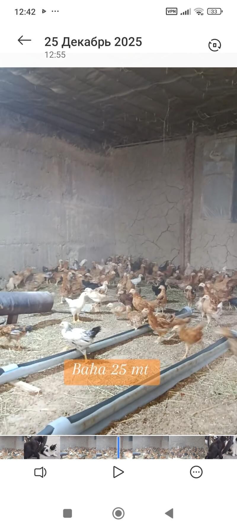 juje - Гёкдепе - img 1