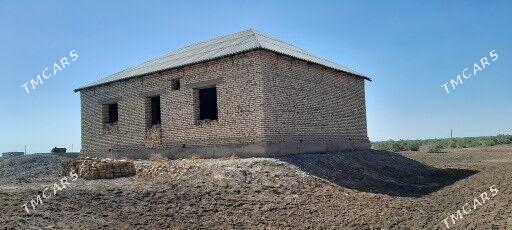 ahal tejen - Tejen - img 1