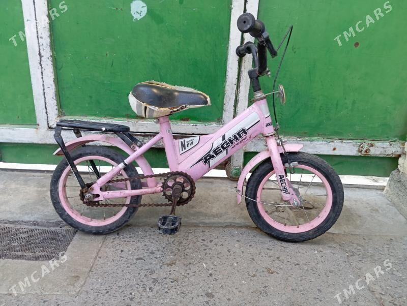 tigir kici caga 12lik gyssagly - Bedew - img 1