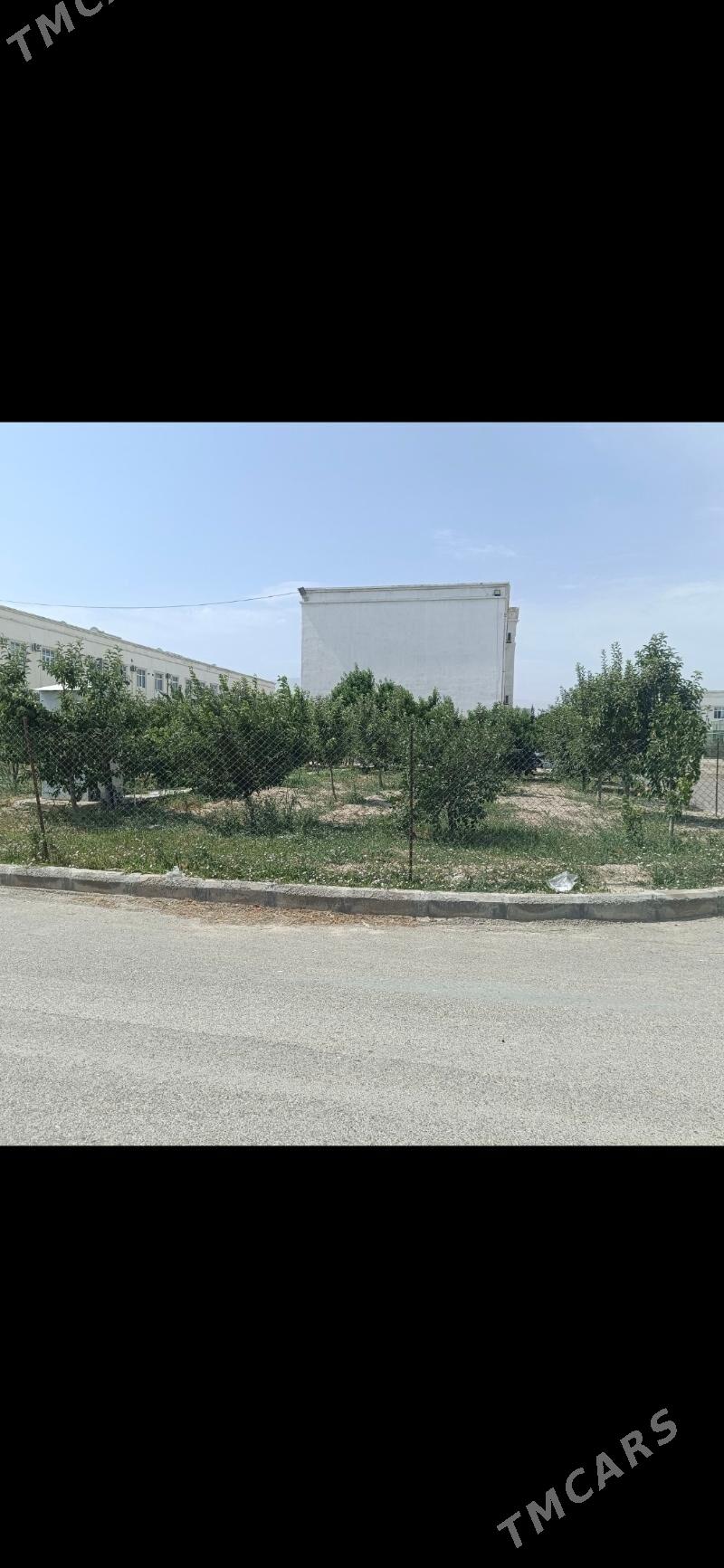 6 dom - Gökdepe - img 1