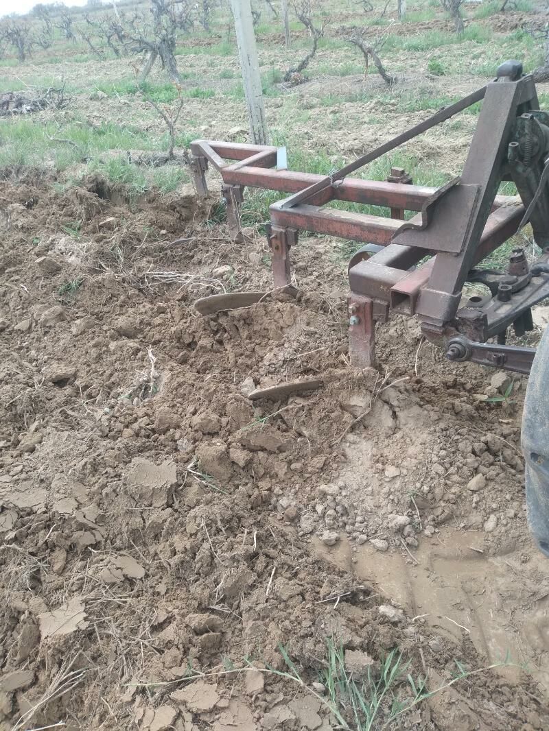 MTZ Belerus Traktr 4 000 TMT - Гёкдепе - img 1