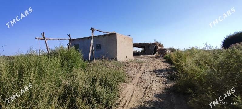 satlyk yer - Саят - img 1