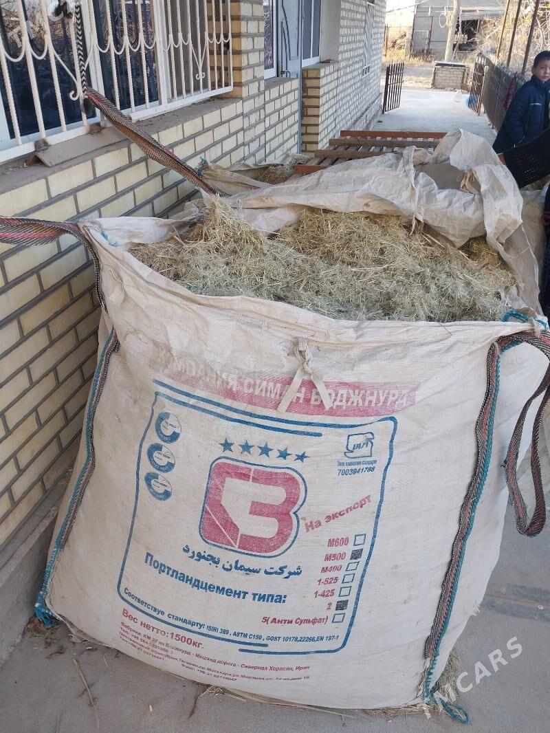 mal ucin gamysmal ucin gamys - Сакарчага - img 1