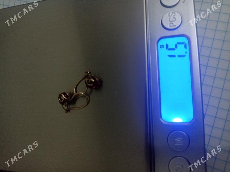 altyn gulakhalka detskiy - етр. Туркменбаши - img 1