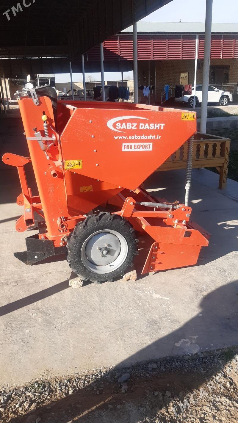 Kartoşka Ekýan - Mary - img 1