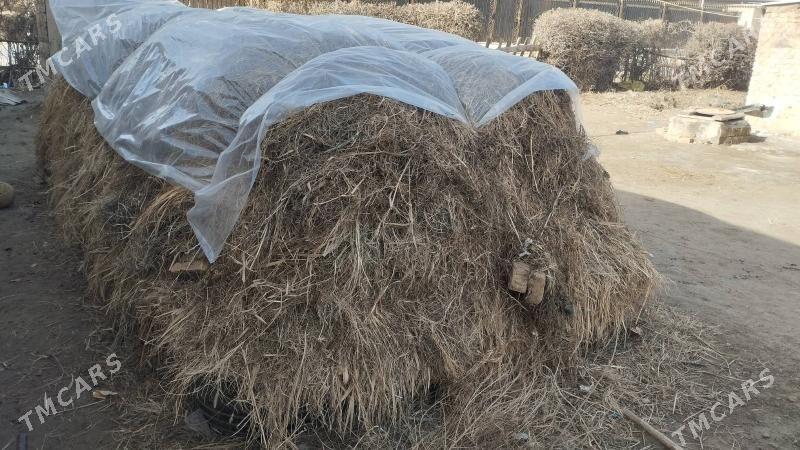 satlyk ot - Mary - img 1