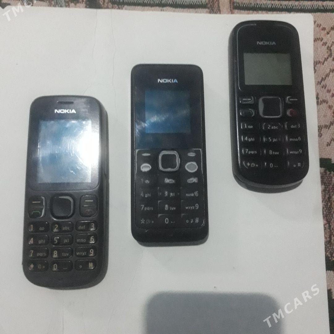 Nokiýa prostoý - Гумдаг - img 1