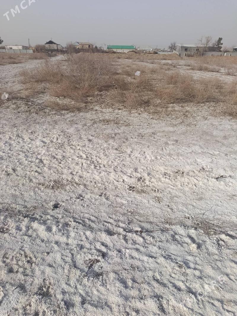 mellek - Мары - img 1