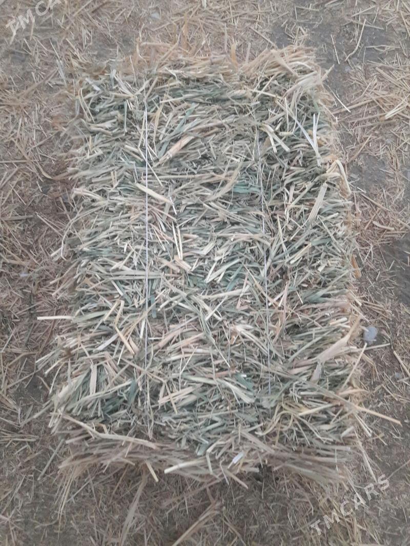 Ýorunja - Бахарден - img 1