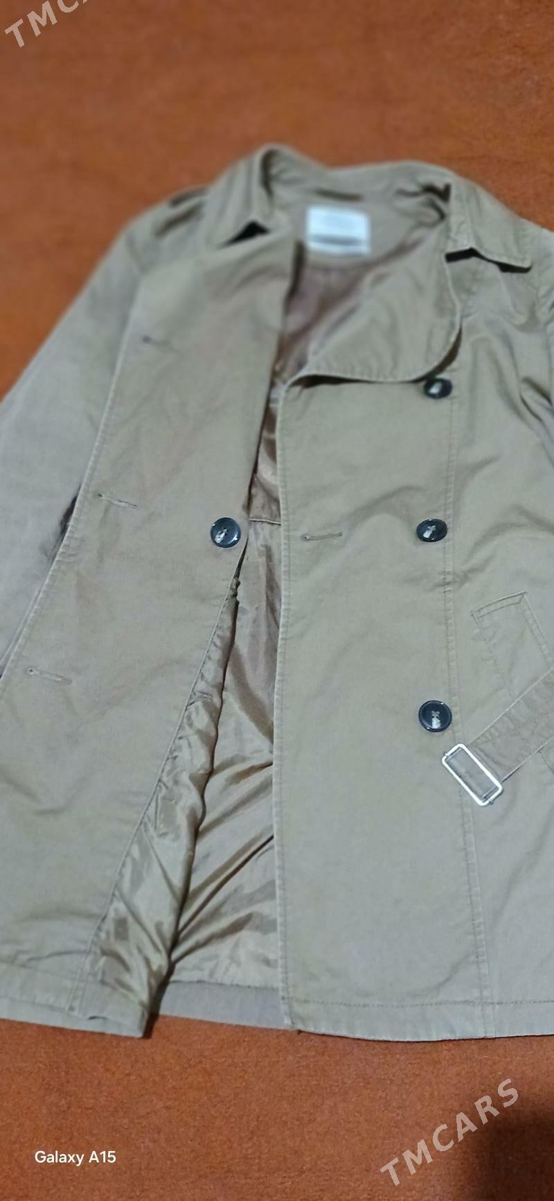 plaç - Daşoguz - img 1