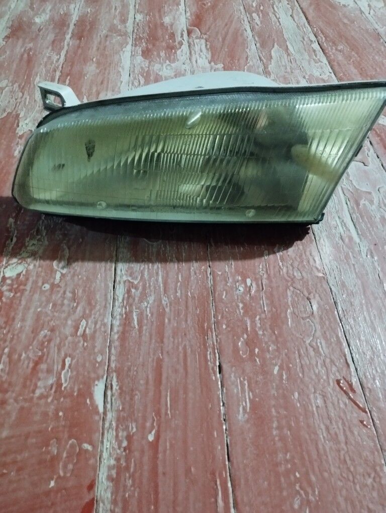 Fara lisicke 100 TMT - Mary - img 1