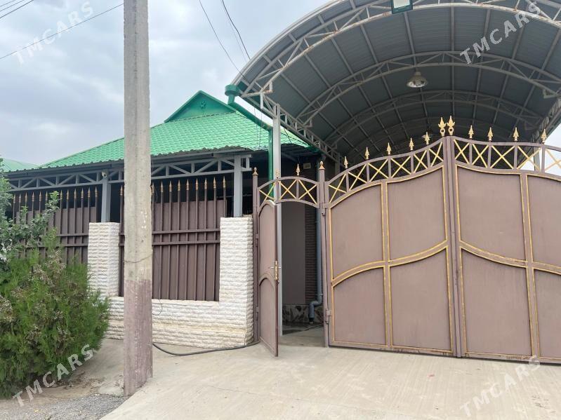 satlyk magytymguly - Änew - img 1