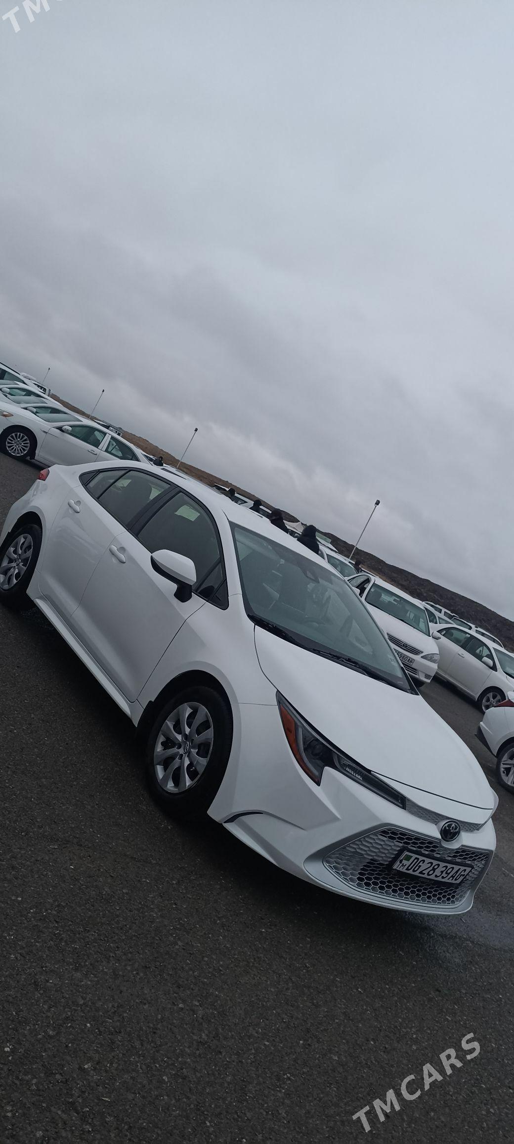 Toyota Corolla 2021 - 244 000 TMT - Büzmeýin - img 1