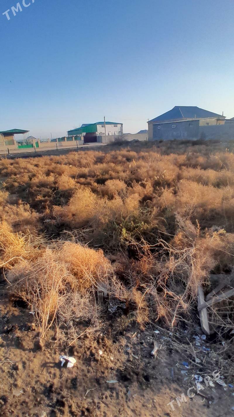 Gokdepe bos melek 16 sotok - Gökdepe - img 1