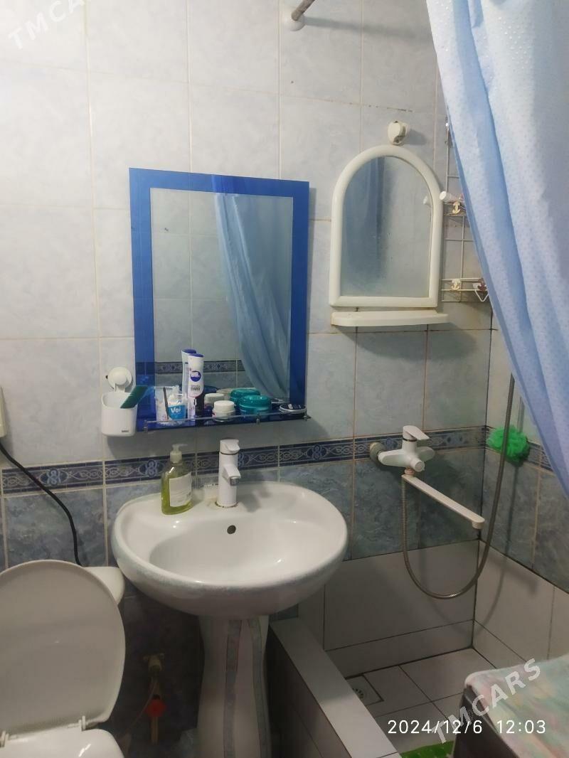 Satlyk jay - Mary - img 1