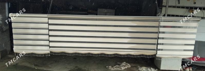 Zalyus/Жалюс - Болдумсаз - img 1