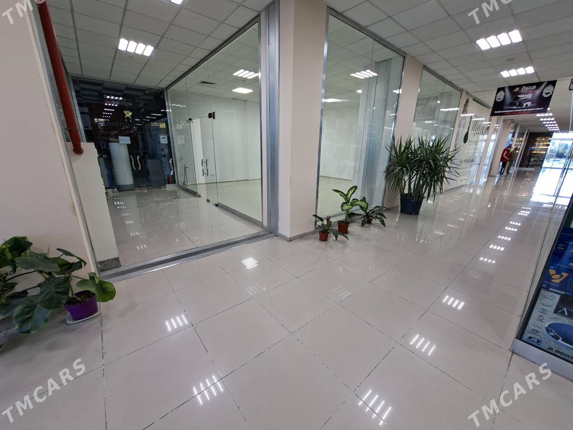 SÖWDA NOKADY ARENDA - Dosaaf - img 1