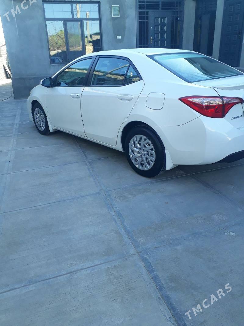 Toyota Corolla 2019 - 215 000 TMT - Ашхабад - img 1