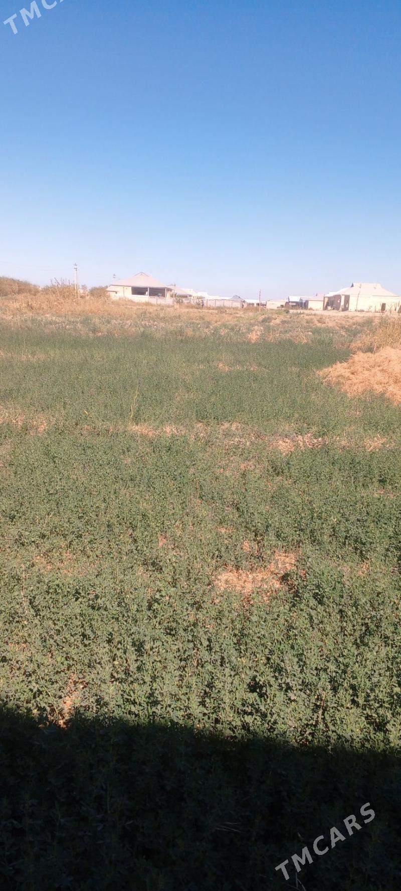 12 sotuk mellek ýer - Wekilbazar - img 1