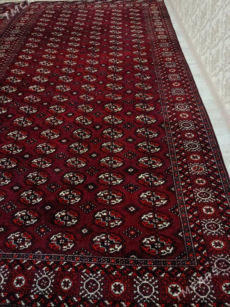 Эл халы - Балканабат - img 1