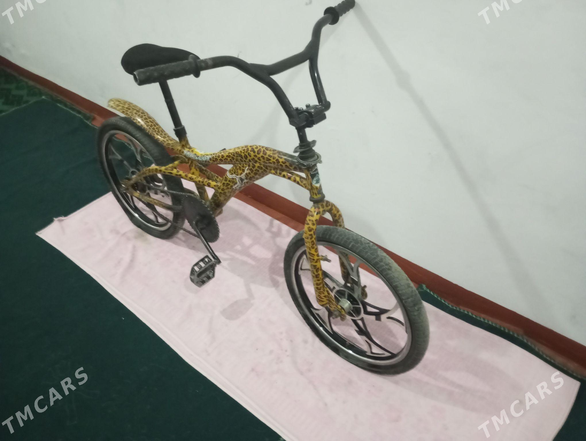 Tigir - Gyzylarbat - img 1