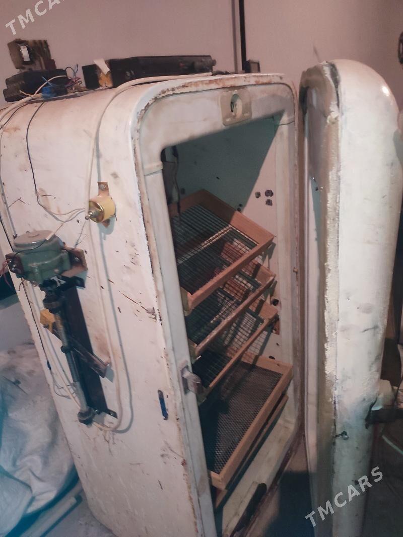 inkubator - Daşoguz - img 1