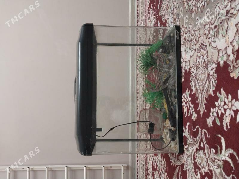 Продам аквариум - Туркменабат - img 1