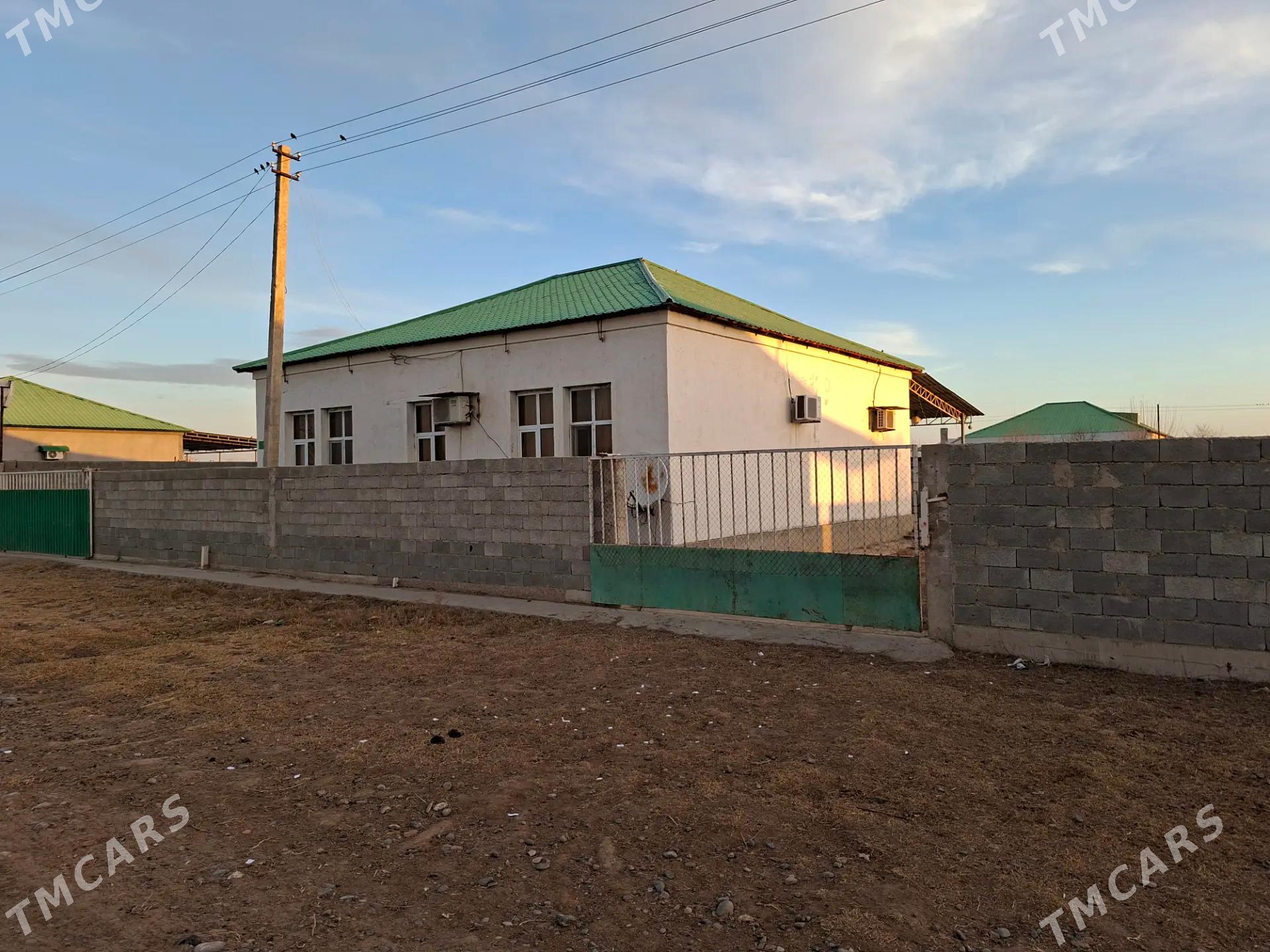 8 Pemka - Ашхабад - img 1