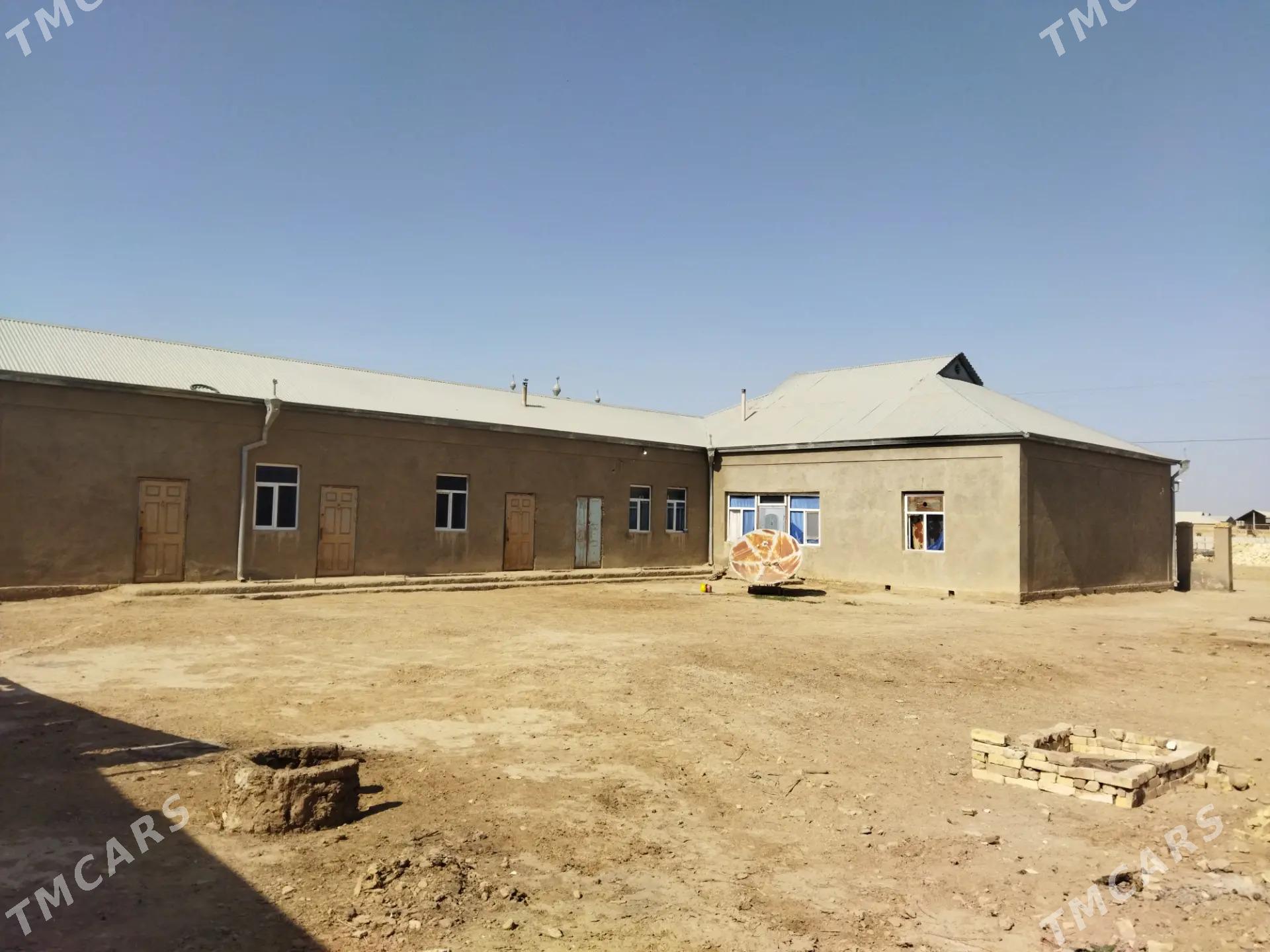 Satlyk Jay - Murgap - img 1