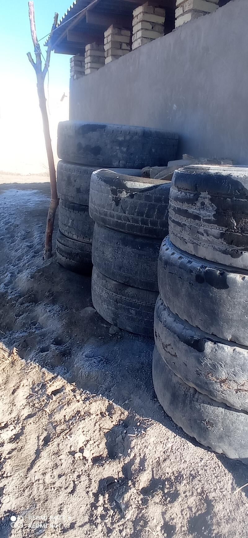 pakrishka 300 TMT - Şabat etr. - img 1