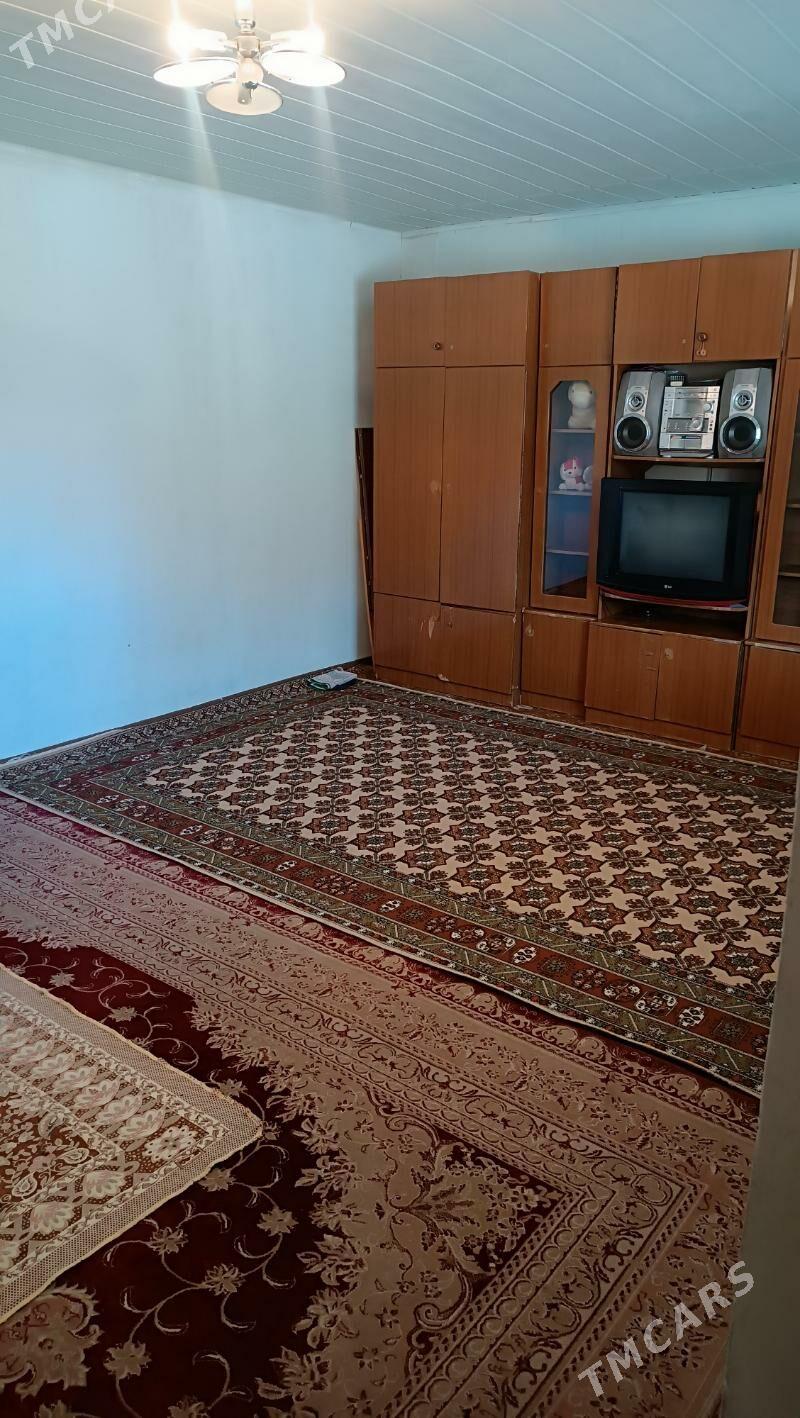 Arenda jay - Jebel - img 1