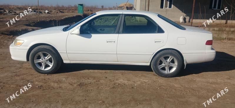 Toyota Camry 2001 - 136 000 TMT - Şabat etr. - img 1