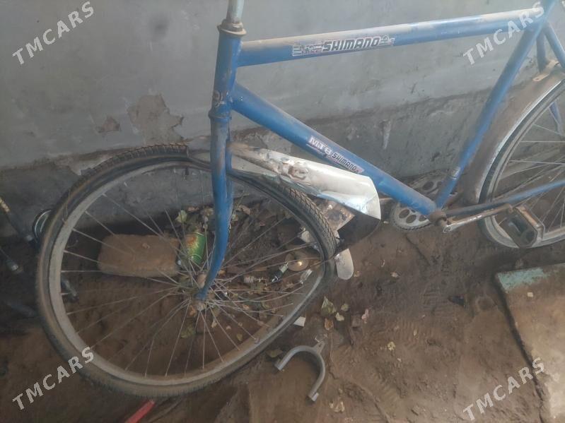 tigir - Köneürgenç - img 1