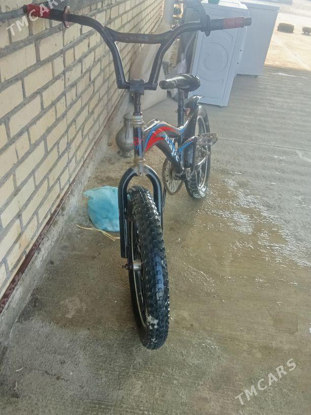 tigir - Бахарден - img 1