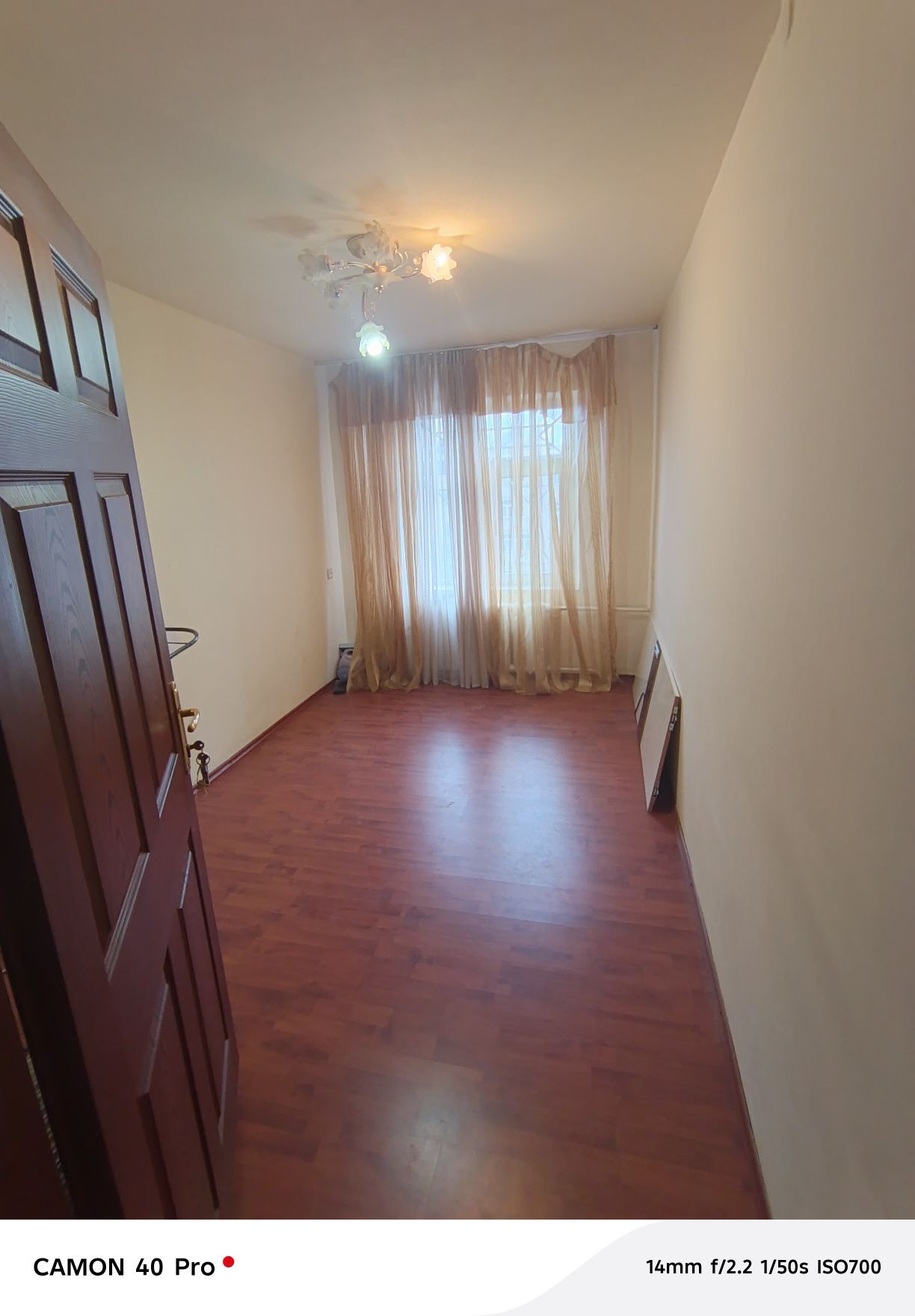 Satlyk jay - Mary - img 1